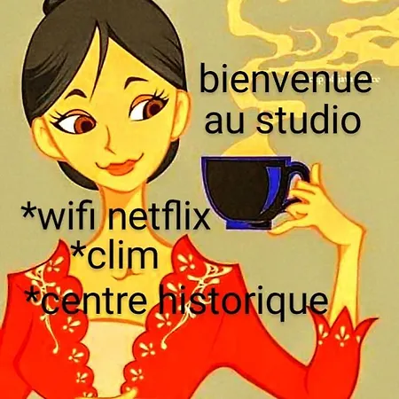 Cocon Centre Historique Apartament Bergerac