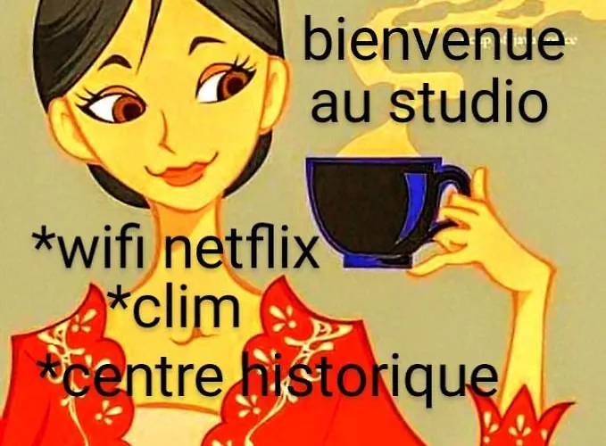 Cocon Centre Historique Lejlighed Bergerac