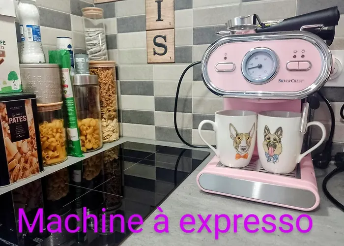 Cocon Centre Historique Bergerac